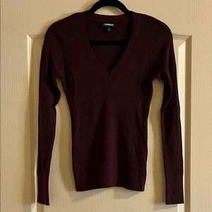 Express Ribbed V-Neck Slim Fit Sweater - Wine